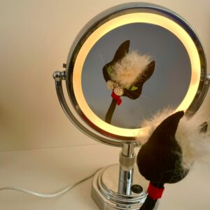Miroir lumineux Babyliss vintage chromé – années 70/80